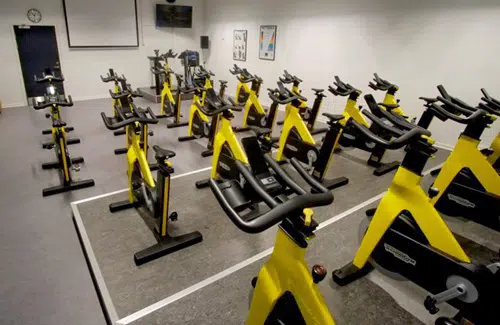 Lokale fyldt med spinningcykler på ræd og række