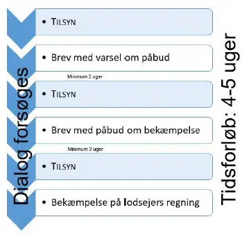 Sagsforløb over 4-5 uger hvor der forsøges med dialog. Skifter mellem Tilsyn, Brev med varsel om påbud, efter min. 2 uger er der igen tilsyn og brev med påbud om bekæmpelse. Efter minimum 2 uger igen tilsyn og derefter bekæmpelse på lodsejers regning.