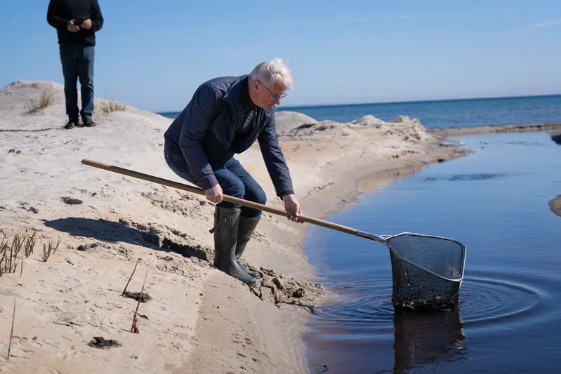 Borgmester Tonni Hansen sætter ørreder ud