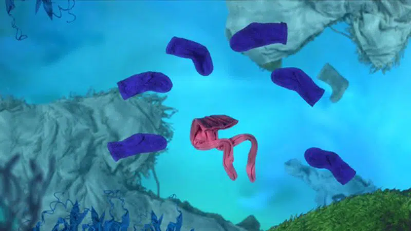 Børnebiffen - Storvask - fodboldstrømper