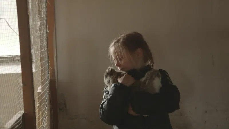 Børnebiffen - Josefines Bondegård – Jul på gården