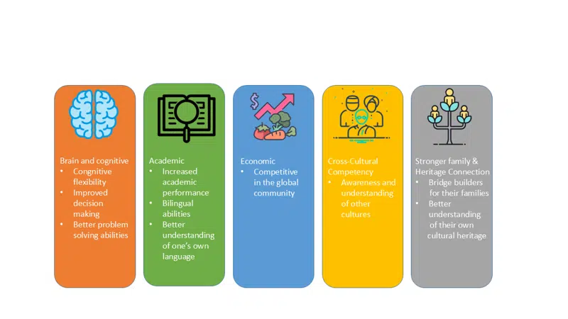 Visual illustration of the benefits of bilingual education