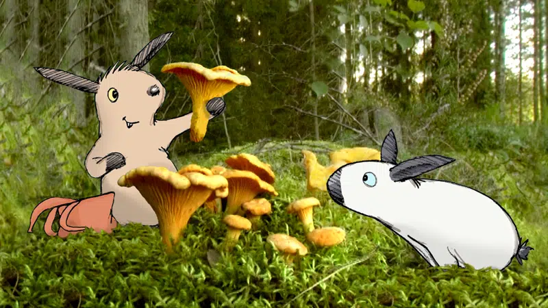 Børnebiffen - Ville og Vilde kanin