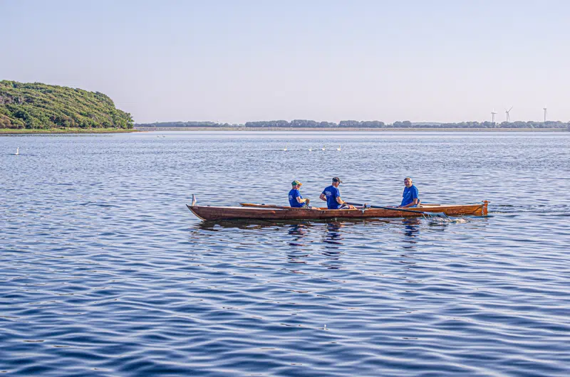 Roere på Nakskov Fjord