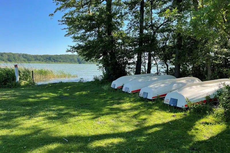 Naturskolens robåde