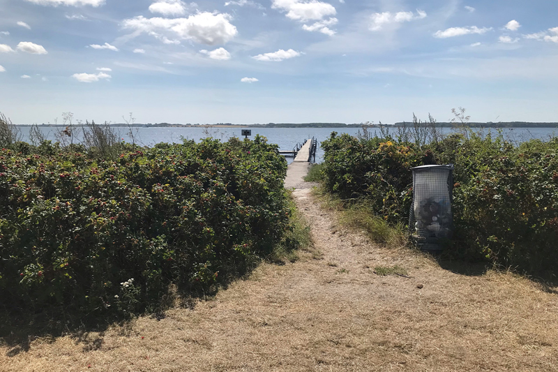Foto - sti gennem klitlandskab med adgang til badebroen