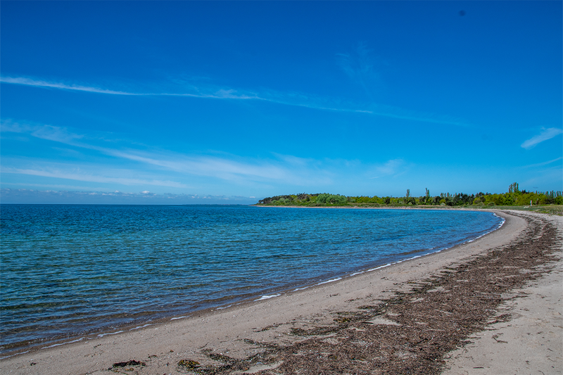 Foto af strandbred med træer i baggrunden