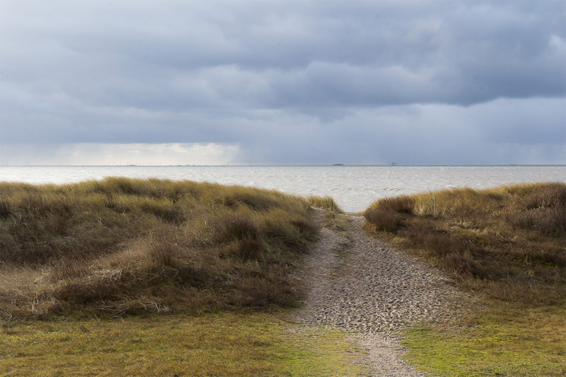 Foto af stranden med klitlandskab og grå regnvejrsskyer over havet