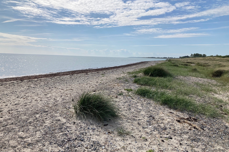 Foto af stranden med strandbred og klitlandskab