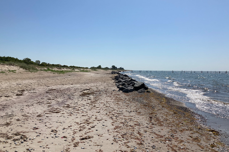 Foto af strandbred med sten - i horisonten kan man se bundgarnspæle