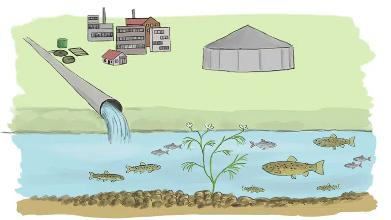 Tegning, der viser, at der i dag mest ledes renset vand ud i Gudenåen
