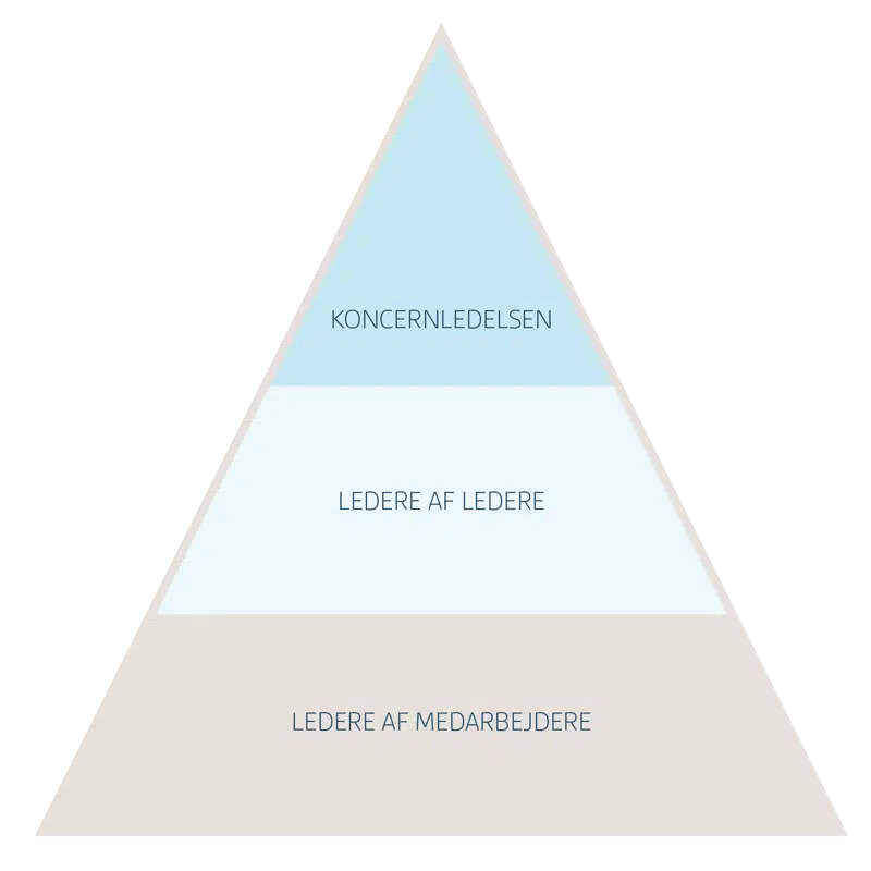 Illustration af Ledelsesrummet, der spænder fra ledere af medarbejder til ledere af ledere til koncernledelsen.