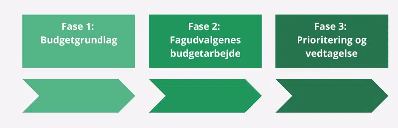 Figur 3. Oversigt over kommunens budgetproces