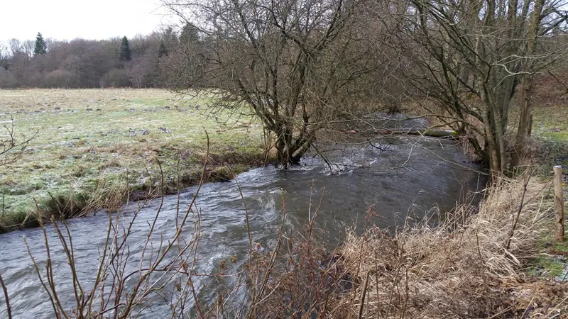Foto, der viser indløbet til den tidligere døde å ved riværket oven for Klostermølle