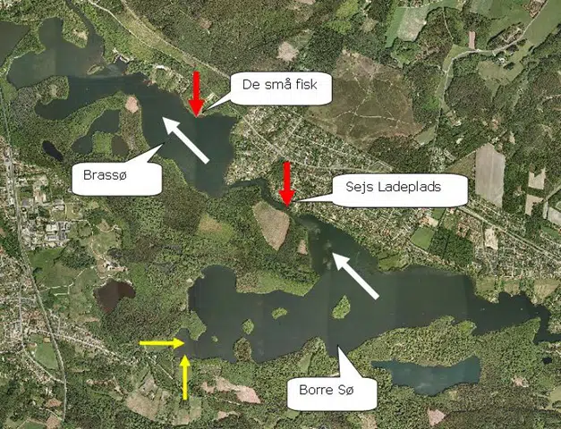 Oversigt over Borresø og Brassø. Badestederne er markeret med røde pile, og strømretningen er markeret med hvide pile. Gule pile markerer udløb fra spildevandsbelastede vandløb.