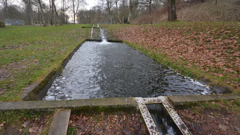 Foto, der viser et bassin og  nogle trin i fisketrappen ved Tangeværket