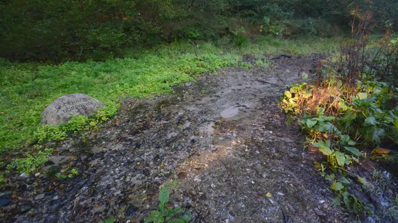  Gudenåens udspring ved Tinnet Krat 