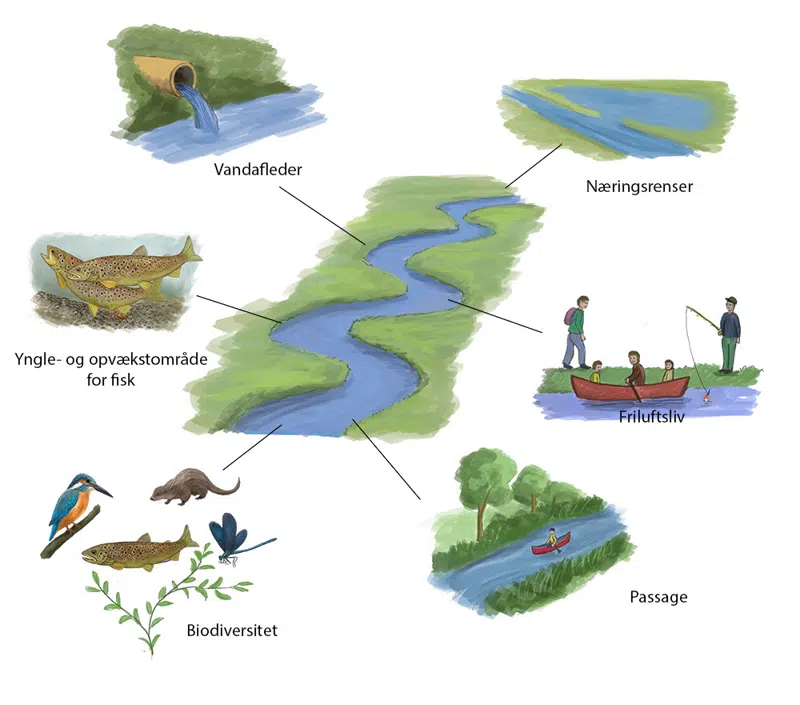 Tegning, der viser alle de roller, som vi forventer, at Gudenåen skal opfylde. Den skal for eksempel kunne aflede vand, være rig på planter og dyr, kunne modtage spildevand, have et rent miljø og være et godt sted for friluftsliv og naturoplevelser