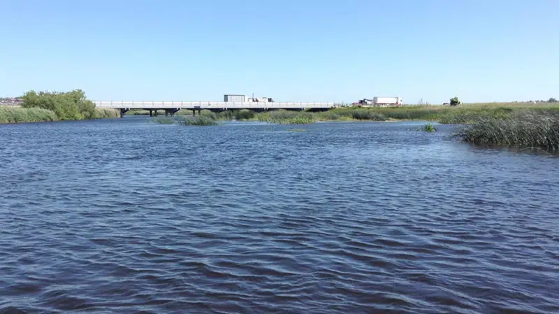 Vest for Randers krydser motorvejen tværs hen over deltaet