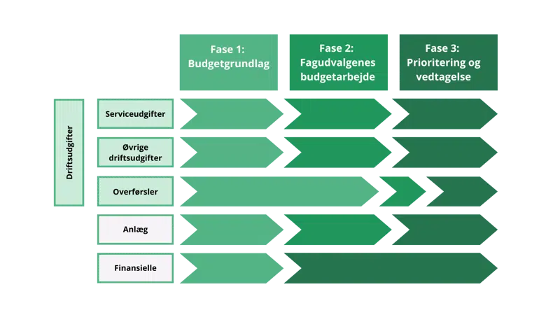 faser i budgetlægning