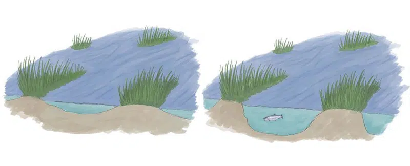 Illustrerer bunden ad Gudenåen