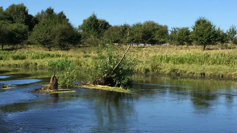 Foto der viser, hvordan er opstår en ø i vandløbet