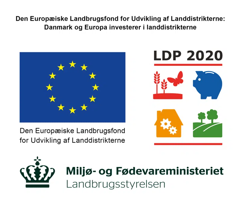 Logo for LDP 2020