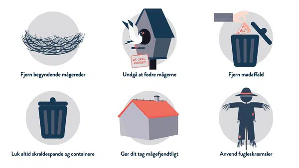 Hvad kan du selv gøre