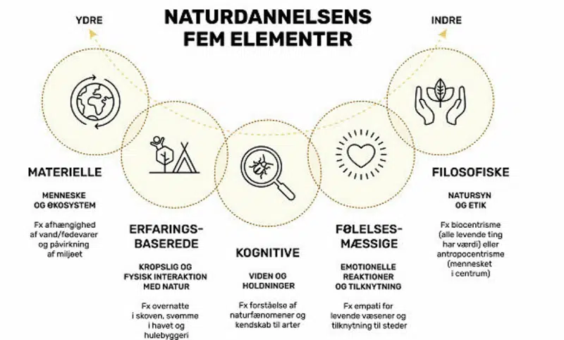 Illustration af naturdannelsens fem elementer