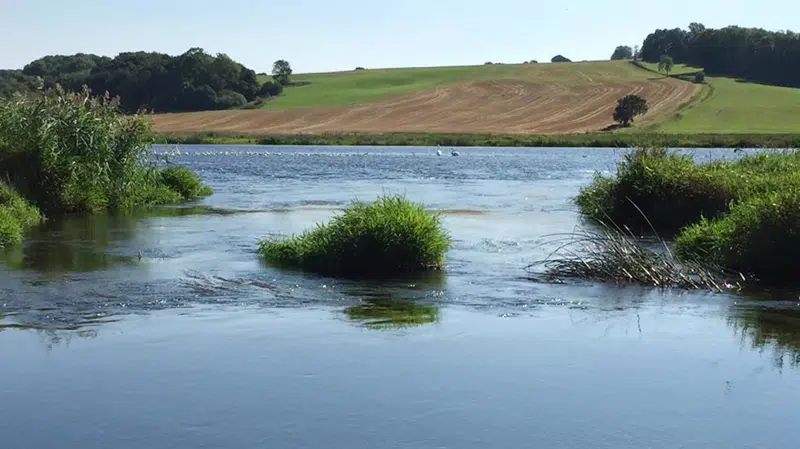 Gudenåen, der er gået over sine bredder