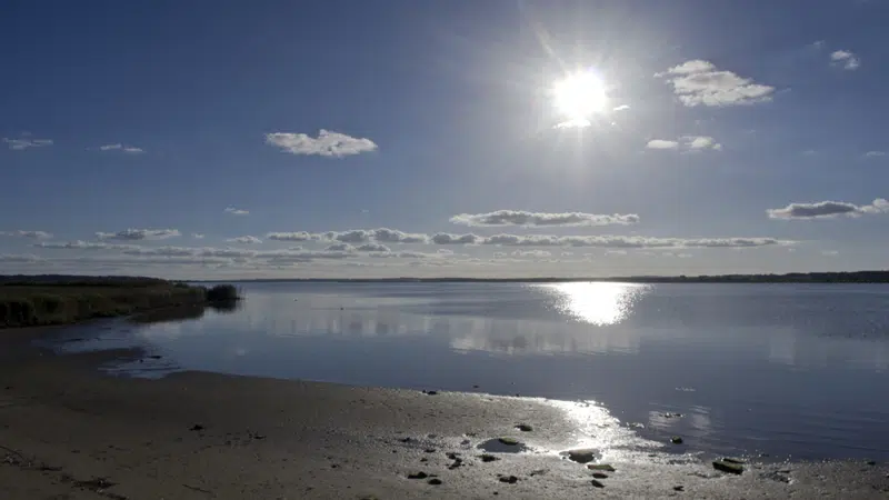 Foto, der viser Randers Fjord i smukt modlys