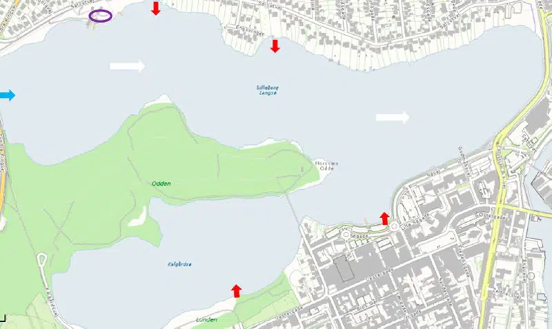 Kort over Silkeborg Langsøs midtbassin. Pile der viser strømretning, tilløb fra vestbassin og udløb fra fælleskloakerede områder