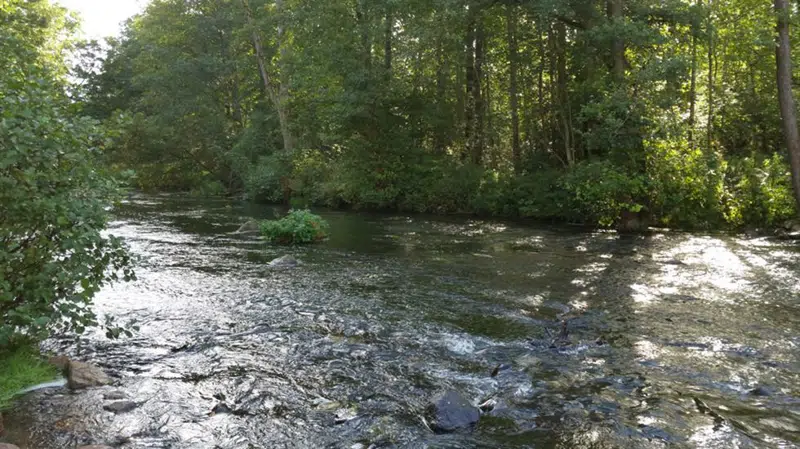 Gudenåen i sin genskabte storhed i slugten ved Den genfundne Bro i 2014