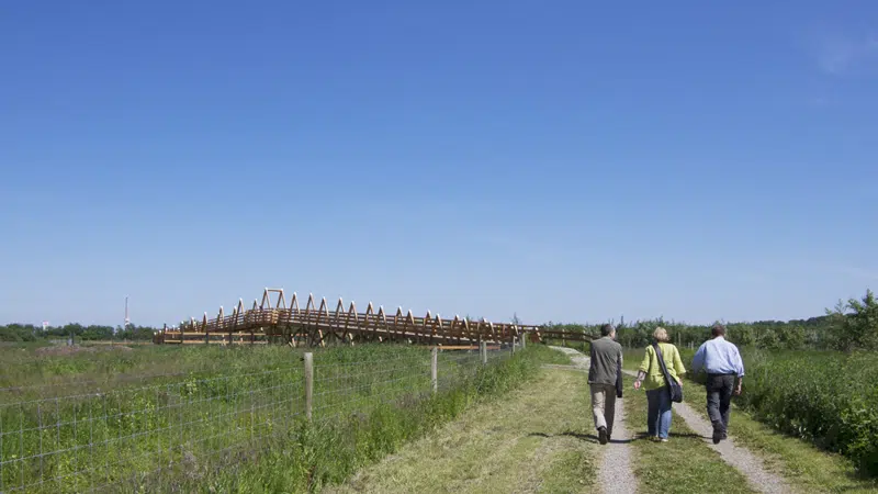 Folk på tur på stier i det genskabte vådområde i Vorup Enge ved Randers